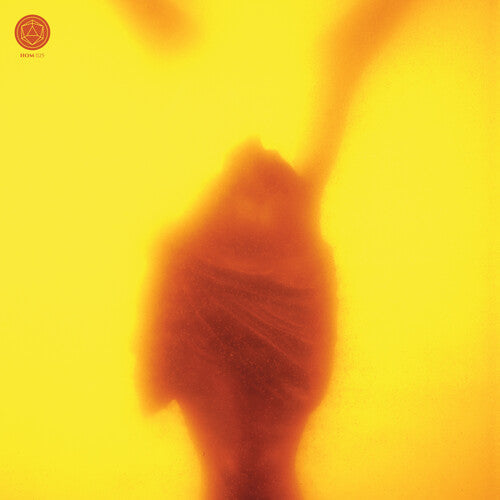 Massimo Pupillo: Embracing the Ruins - VINYL LP "VINYLBADGES"