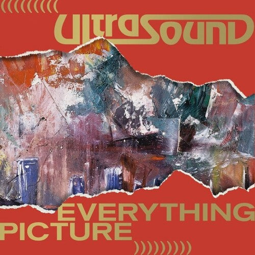 Ultrasound: Everything Picture - VINYL LP "VINYLBADGES"