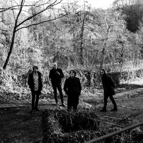 The Be Positives: Everything About - VINYL LP "VINYLBADGES"