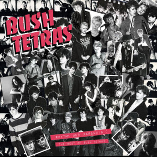 Bush Tetras: Rhythm & Paranoia: The Best of Bush Tetras - VINYL LP "VINYLBADGES"