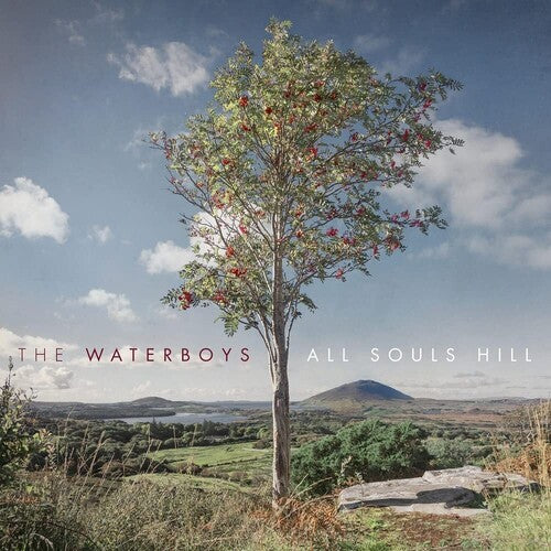 The Waterboys: All Souls Hill - VINYL LP "VINYLBADGES"