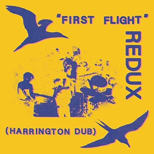 Chris Forsyth: First Flight Redux (Harrington Dub) - VINYL LP "VINYLBADGES"