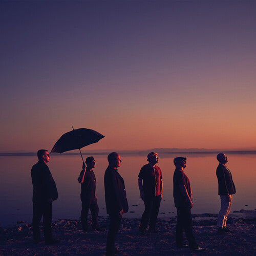 The Slackers: Don't Let The Sunlight Fool Ya - VINYL LP "VINYLBADGES"