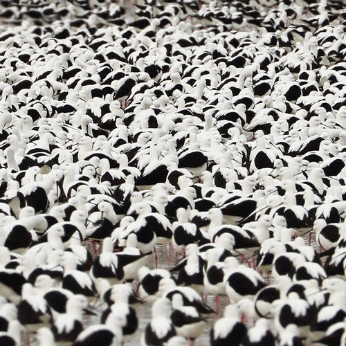 Stella Donnelly: Flood - Opaque Red - VINYL LP "VINYLBADGES"