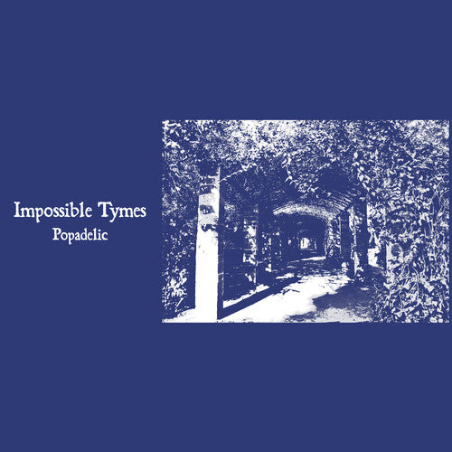 Impossible Tymes: Popadelic - VINYL LP "VINYLBADGES"