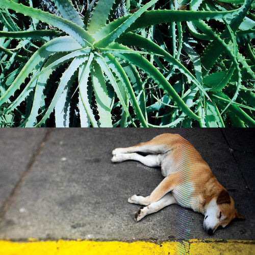 Steve Bates: All The Things That Happen - VINYL LP "VINYLBADGES"