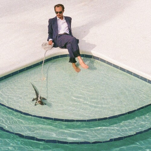 PWNT: Days In The Summer - VINYL LP "VINYLBADGES"