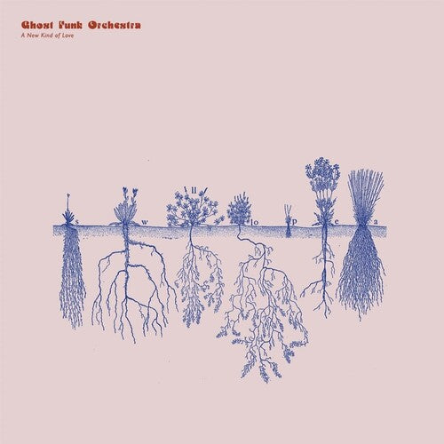 Ghost Funk Orchestra: A New Kind of Love - VINYL LP "VINYLBADGES"