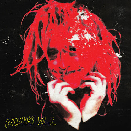 Caleb Landry Jones: Gadzooks Vol. 2 - VINYL LP "VINYLBADGES"