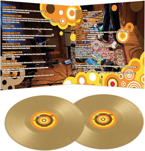 Oz Noy: Schizophrenic - Gold - VINYL LP "VINYLBADGES"