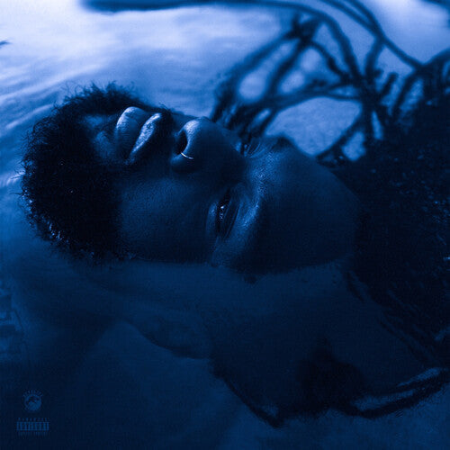 Rexx Life Raj: The Blue Hour - VINYL LP "VINYLBADGES"