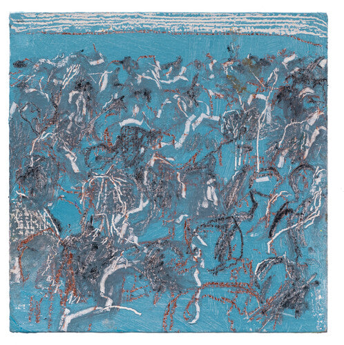 Cass McCombs: Vacation From Thought B/w Give It Back - VINYL LP "VINYLBADGES"