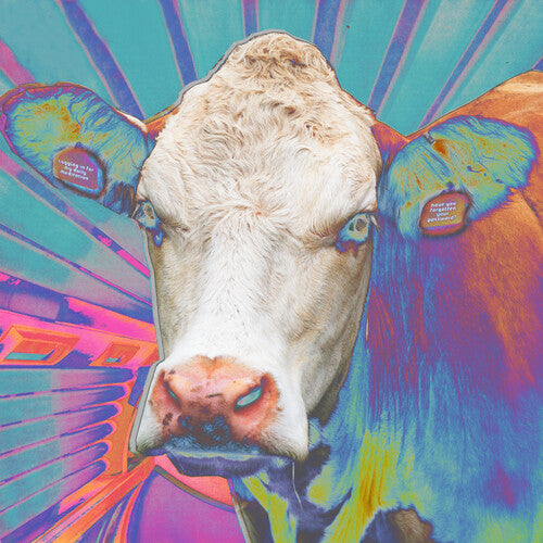 Eyes Of Others: Eyes Of Others - VINYL LP "VINYLBADGES"