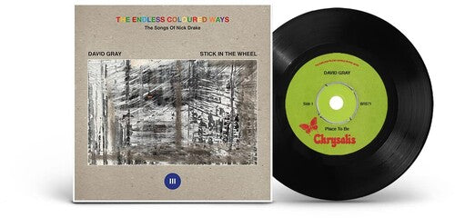 David Gray: The Endless Coloured Ways: The Songs of Nick Drake - David Gray - VINYL LP "VINYLBADGES"