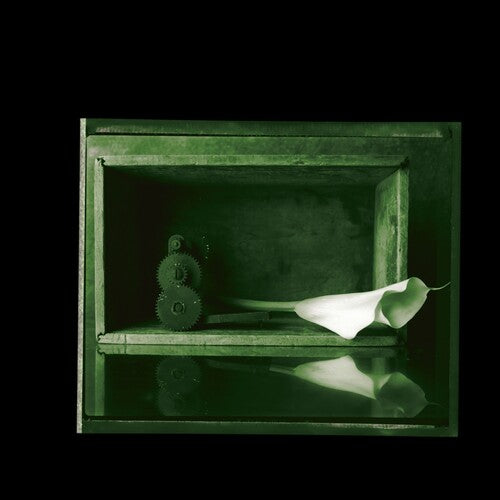 Jad Fair & Danielson: Elegies - VINYL LP "VINYLBADGES"