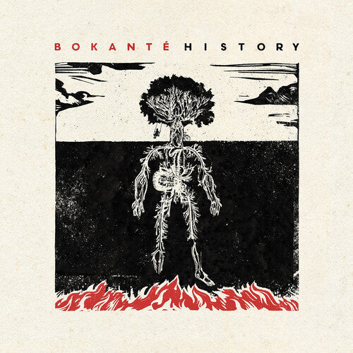 Bokante: History - VINYL LP "VINYLBADGES"
