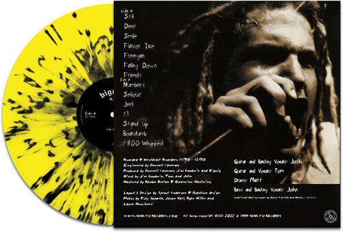 Bigwig: Stay Asleep - Yellow/black Splatter - VINYL LP "VINYLBADGES"