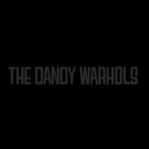 The Dandy Warhols: The Black Album - VINYL LP "VINYLBADGES"
