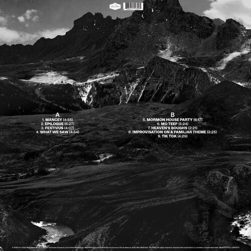 Andrew Bird: Outside Problems - VINYL LP "VINYLBADGES"