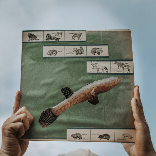 Cotton Jones: The River Strumming - VINYL LP "VINYLBADGES"