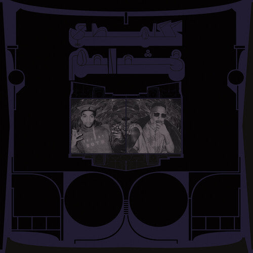 Shabazz Palaces: Exotic Birds of Prey - VINYL LP "VINYLBADGES"