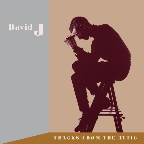 David J: Tracks From The Attic - VINYL LP "VINYLBADGES"