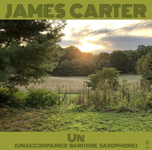James Carter: Un (Unaccompanied Baritone Saxophone) - VINYL LP "VINYLBADGES"
