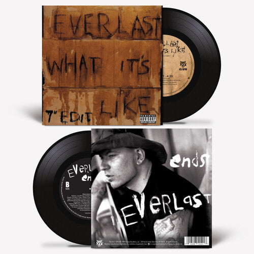 Everlast: What It's Like/Ends - VINYL LP "VINYLBADGES"