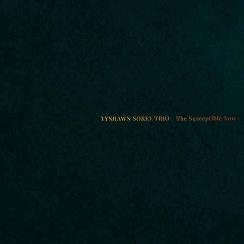 Tyshawn Sorey Trio: The Susceptible Now - VINYL LP "VINYLBADGES"