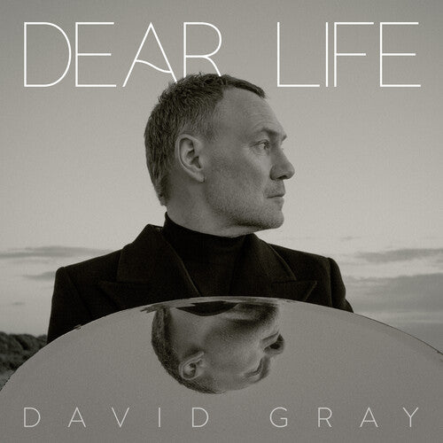 David Gray: Dear Life - VINYL LP "VINYLBADGES"