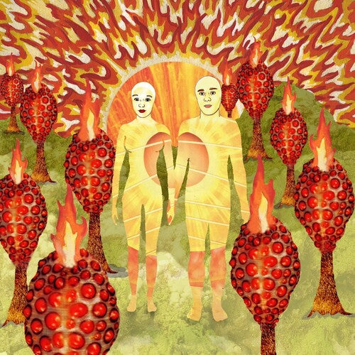 Of Montreal: The Sunlandic Twins - 20th Anniversary Edition - VINYL LP "VINYLBADGES"