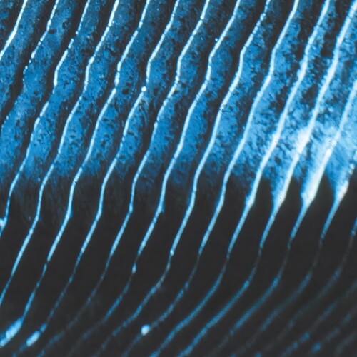 Monolake: Gravity - VINYL LP "VINYLBADGES"