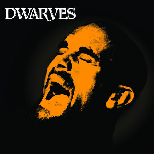 Dwarves: Rex Everything - VINYL LP "VINYLBADGES"