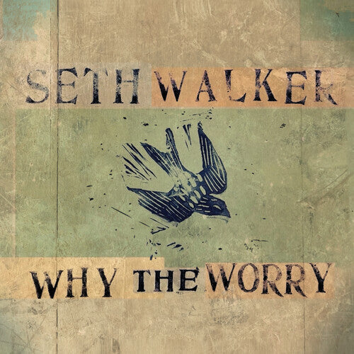 Seth Walker: WHY THE WORRY - VINYL LP "VINYLBADGES"
