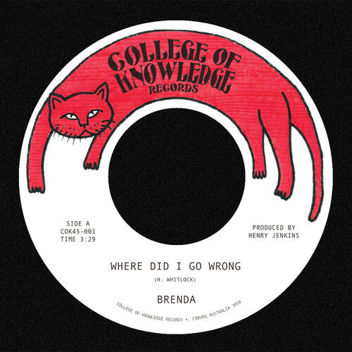 Brenda: Where Did I Go Wrong B/W Family - VINYL LP "VINYLBADGES"