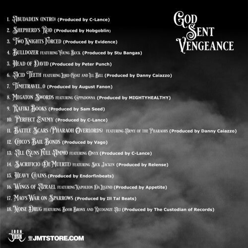 Vinnie Paz: God Sent Vengeance - VINYL LP "VINYLBADGES"