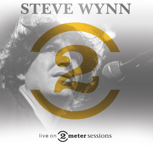 Steve Wynn: Live On 2 Meter Sessions - VINYL LP "VINYLBADGES"