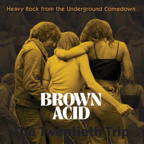 Various Artists: Brown Acid - The Twentieth Trip (Various Artists) - VINYL LP "VINYLBADGES"