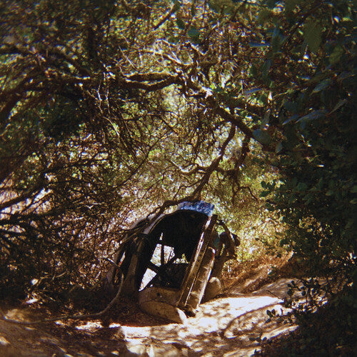 Ty Segall: Possession - VINYL LP "VINYLBADGES"