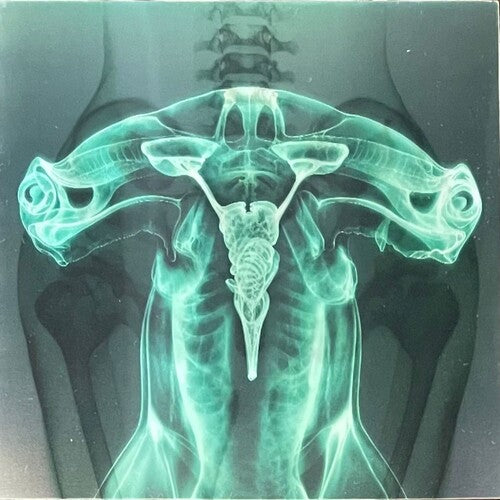 Eartheater: Shark Brain / Dolphin - Glow in the Dark - VINYL LP "VINYLBADGES"